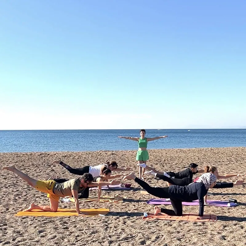 Destek Hayvanı Kartları ile Sahilde Yoga — görsel 5