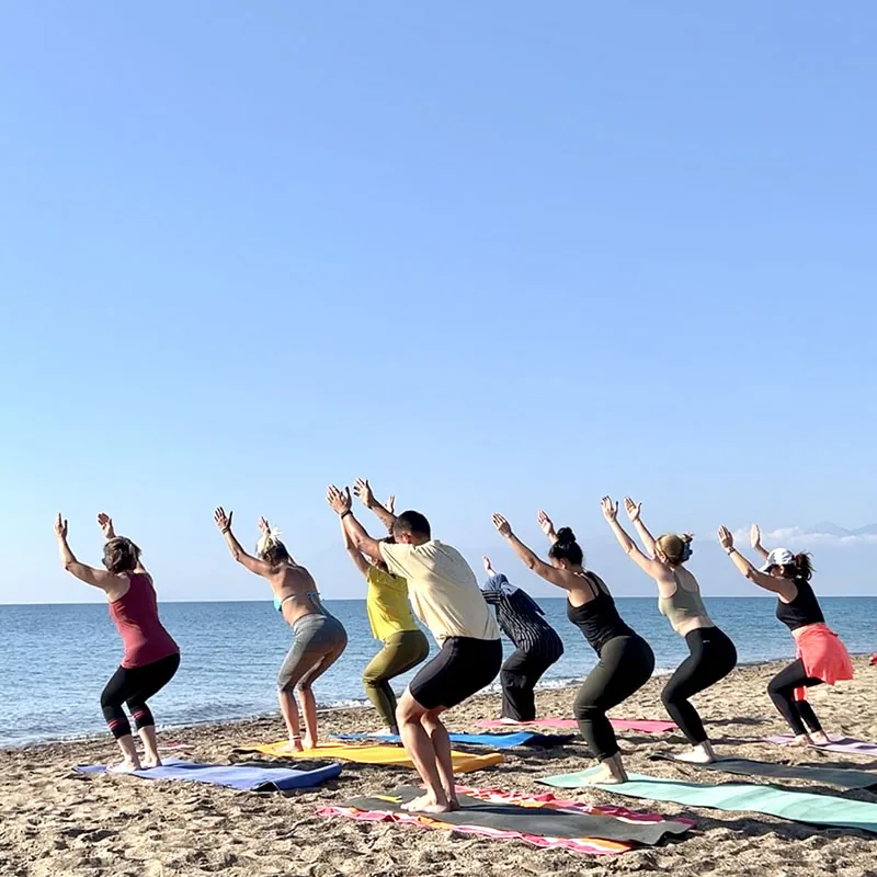 Destek Hayvanı Kartları ile Sahilde Yoga — görsel 2