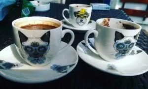 Şivamla Göz Yolcuğumuz — görsel 3